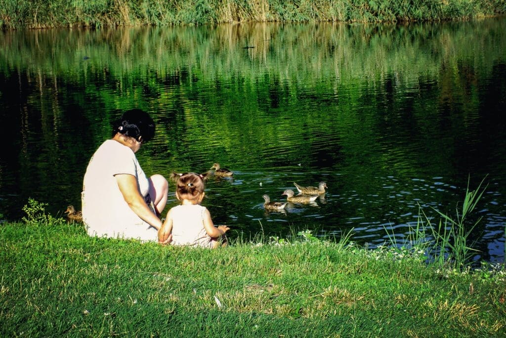 Living in Baby Point: A Quick Guide to the Neighbourhood - Sidorova ...